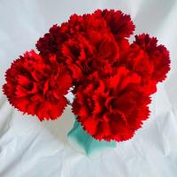 Claveles rojos artificiales de tacto Real, manualidades DIY, 54cm, flor de clavel de simulación, plantas falsas hechas a mano realistas, aniversario - details 6