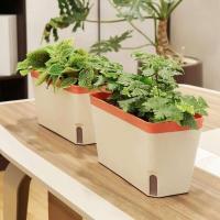 Planta de riego automático floral moderna y elegante rectangular de doble capa para interiores ETA, hidropónica ETA - details 6
