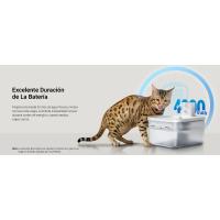 fuente para gatos