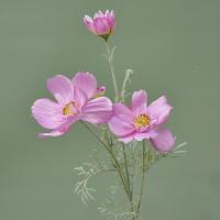 Rama de flor de Cosmos Artificial de lujo, simulación realista de plástico, crisantemo, flor falsa elegante hecha a mano - details 19