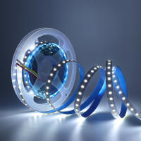 Tira de luces LED de 5M, 2835 Leds/m, no impermeable, cc 12V, CCT, Blanco cálido, Fita, cinta Flexible, luces de cuerda - details 5