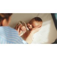 BabyBjörn Travel Crib Light