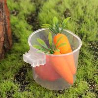 Práctica taza transparente para alimentación de pájaros, cuencos de agua colgantes de plástico para loros, bebedero para pájaros, contenedor de comida para pájaros, jaula para pájaros - details 4