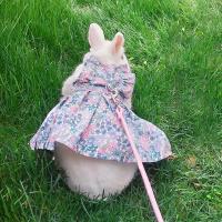 Conjunto de Correa de Arneses Suave Floral para Mascotas Pequeñas Ideal para Conejos, Hamsters, Chinchillas Correa de Pecho para Viajes - details 12