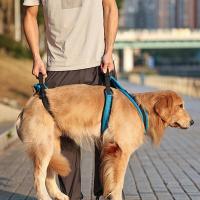 Correa de Protección para Perros Equipo de Apoyo para Perros Mayores Correa Auxiliar para Paseos de Perros Deshabilitados - details 3