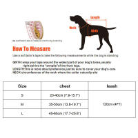 Conjunto de arnés y correa con lazo para gato, correa de plomo ajustable para cachorro, chaleco de malla de nailon, Collar para gatito, accesorios para gato - details 4
