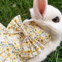 Conjunto de Correa de Arneses Suave Floral para Mascotas Pequeñas Ideal para Conejos, Hamsters, Chinchillas Correa de Pecho para Viajes - details 13