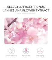 Laikou Sakura crema blanqueadora Protector solar coreano bloqueador solar Facial Spf50 loción de aislamiento blanqueador hidratante 30g - details 7
