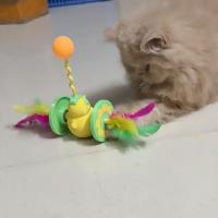 Juguete creativo y atractivo para gatos, juguete único y divertido para morder, pelota de plástico con plumas, pelota interactiva para gatitos - details 6