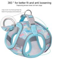 Juego De Arnés Y Correa Para Perros Y Gatos Pequeños Y Medianos Con Cuerda De Pecho Reflectante Y Transpirable Ropa De Perro Para Caminar Al Aire Libre - details 1