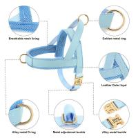 Collar de cuero para perros, juego de correas, chaleco de malla para mascotas, identificación personalizada, cables para perros pequeños, medianos y grandes - details 1