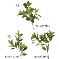 Grandes ramas artificiales de Fagraea, ramas realistas hechas a mano de Pachira, elegante, tacto Real, Ilex Chinensis Artificial - details 0