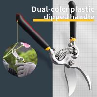 Tijeras De Poda Deli De 8.5 Pulgadas Herramienta De Jardín Para Bonsái Y Metal Escarabajo De Mano Herramienta De Poda - details 2