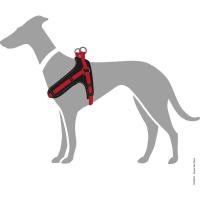 HUNTER Vario Quick - Arnés pequeño de neopreno, 45-55 cm, 15 mm, rojo y negro - details 1