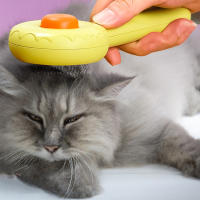 Peines de cepillo para gato para interior, aguja de masaje agradable para la piel, piel matada, mascotas - details 1