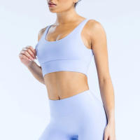 Nuevo sujetador deportivo minimalista de spandex con costura nueva, adecuado para el fitness femenino, estiramiento, ropa de yoga transpirable. ﻿ - details 11