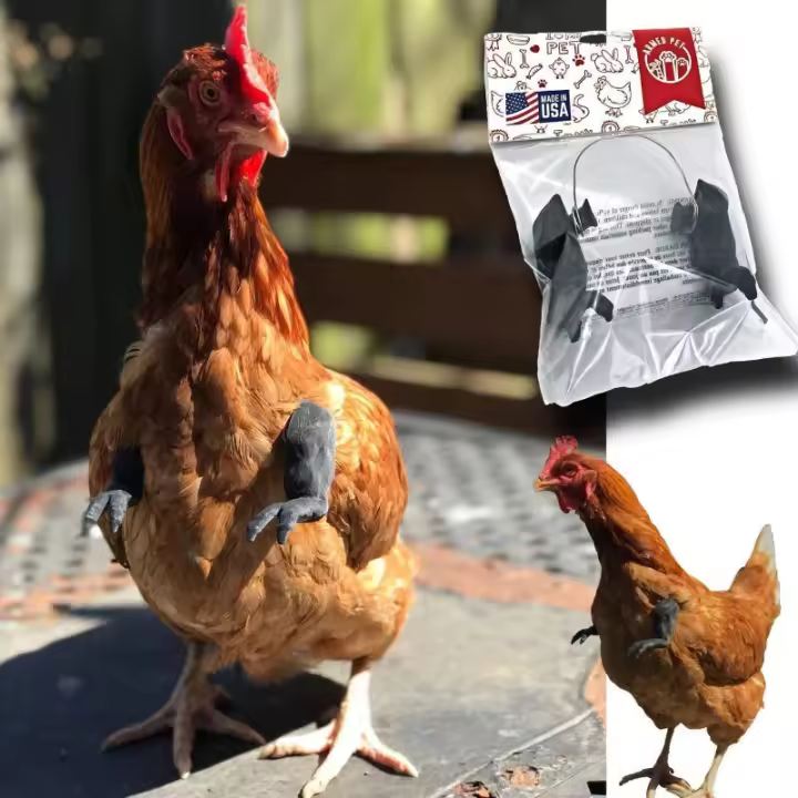 Disfraz Divertido para Mascotas Accesorio de Pollo para Perros/Gatos, Estilo Dinosaurio - 1