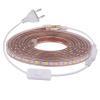 Tira de luces LED de CA 220V con enchufe de interruptor SMD5050, 60LEDs/m, cinta LED impermeable, Blanco/blanco cálido, rayas flexibles - details 4