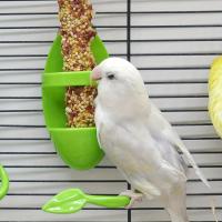 Estación de Alimentación Saludable para Frutas y Verduras Accesorio Perfecto para Jaulas de Pájaros - details 1