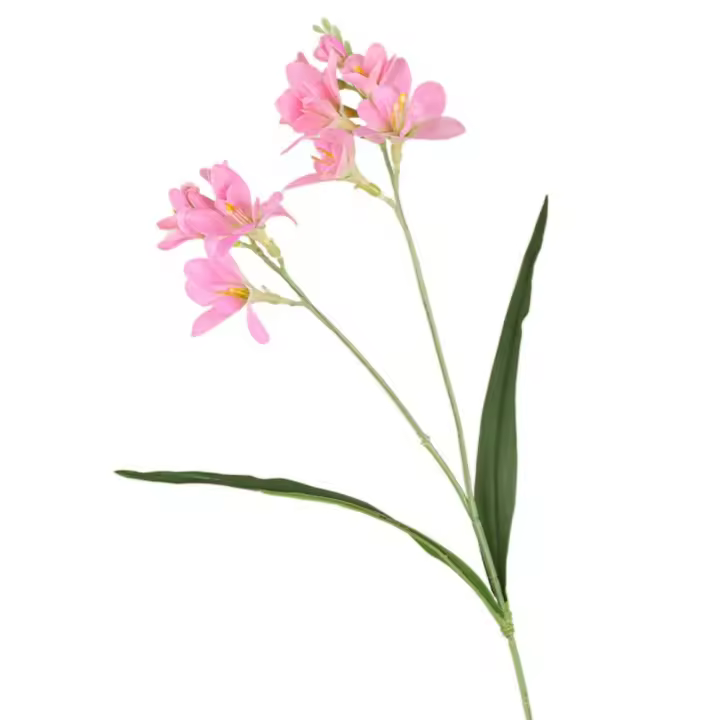 Flores artificiales de fresia de 2 tenedores, tacto Real, simulación hecha a mano, flor de Whelan, flores falsas realistas, decoración para sala de estar - 1
