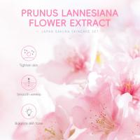 Kit Premium 6 en 1 de Cuidado Facial con Sakura Japonés - Suero + Crema Contorno Ojos + Limpiador Hidratante, Tratamiento Completo para Piel Radiante e Hidratada - LAIKOU - details 6