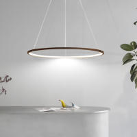 OCASAMI-Lámpara colgante de 220 V y 34 W, diseño de anillo, para sala de estar, lámpara de araña de tres colores - details 2