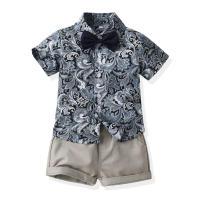 Mangas cortas de verano, camisas de flores, pantalones cortos para niños, conjunto casual de dos piezas, ropa de playa multicolor para bebés y niños - details 27