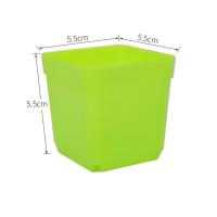 Maceta de flores de piezas, caja de vivero de 5,5 cm, Mini maceta cuadrada, cuenca de plantas de plástico colorido, macetas de trasplante suculentas, herramientas de jardín - details 6