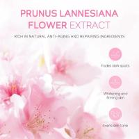 Sakura-Conjuntos y kits para el cuidado de la piel con suero limpiador, crema para ojos, crema con esencia, productos de belleza para mujeres, juegos de regalo, Kit de viaje de rutina - details 10