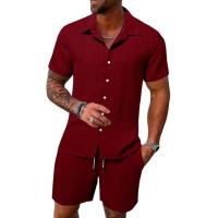 Polo sencillo de verano para hombre, informal, cómodo, suelto, fino, sin capucha, pantalones cortos de manga corta, traje deportivo de ocio urbano a la moda - details 0