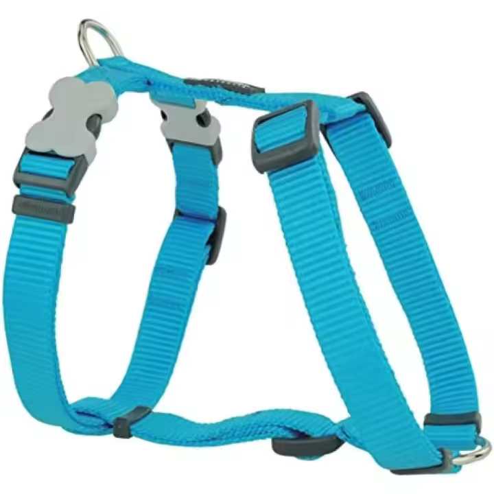 Para Perros en Turquesa (25-39cm) - 1