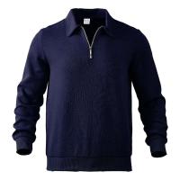 24 polos informales sueltos de manga larga con cuellos y cremalleras, adecuados para la moda masculina transfronteriza en otoño - details 11