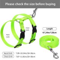 Set de Correa Ajustable de Nylon para Mascotas al Aire Libre Correa de Montura para Conejo Gato - details 0