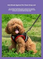 Conjunto de arnés perro, transpirable reflectante ustable, correa chaleco perro con adecuado para perros y gatos pequeños - details 1