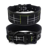 nailon reflectante perro, ustable, cómodo, acolchado, collares anchos mascotas para perros medianos y grandes, Collar de pastor - details 10