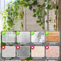 Clips De Fijación De Pared Para Trepar Plantas, Clips De Pared Para Enredaderas De Plantas, Gancho De Soporte Para Plantas De Pared, Clips De Enredadera De Soporte De Plantas Invisibles, Gancho Autoadhesivo Para Plantas Trepadoras De Interior Y Exterior - details 6