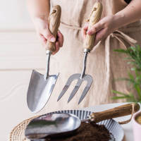 Juego De Herramientas De Jardinería 3 Piezas Mini Shovel Inoxidable Para Uso En El Jardín Y Floricultura Conjunto De Obreros De Jardín - details 2