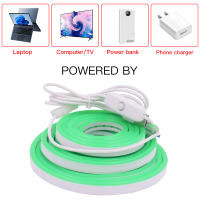 Tira de luces Led de neón con interruptor, cinta de señal Flexible impermeable, 5V, USB, 2835, 120Led/m, para decoración del hogar, armario de baño - details 1