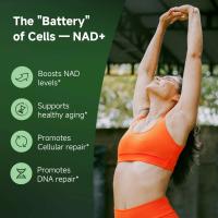 NR900 - Ribosido de nicotinamida liposomial, resveratrol y quercetina de Quitmood: suplemento de NAD de alta pureza para esquí - details 3