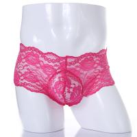 Encaje Sexy Ropa Interior Hombres Boxer hombre Transparente Bragas Ultra Finas Bolsa de Pene Sissy Hombre Bóxers Pantalones Cortos cueca - details 0