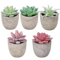 Mini plantas artificiales de Aloe, bonsái, árbol pequeño simulado, plantas en maceta, flores falsas, mesa de oficina, adornos en maceta, decoración del jardín del hogar - details 1