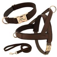 Collar de cuero para perros, juego de correas, chaleco de malla para mascotas, identificación personalizada, cables para perros pequeños, medianos y grandes - details 4