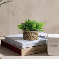 Plantas artificiales de Eulyptus, material de pila de hierba tejida de 11cm, decoración del hogar - details 24