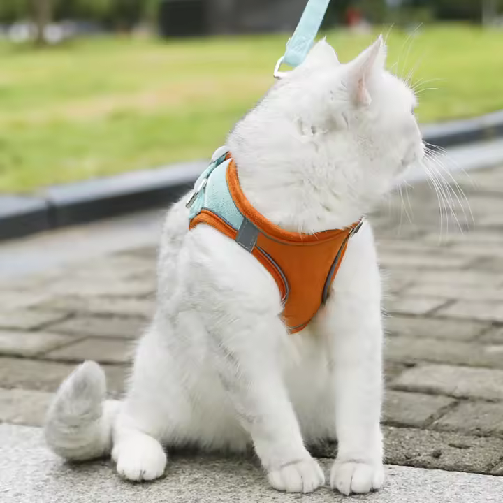 Cuerda para caminar para perros, correa reflectante para el pecho para mascotas, chaleco con arnés para gatos antiescape transpirable, cuerda de tracción ajustable para perros sin tirones, viaje - 1