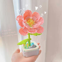 Bloques de construcción en maceta de flores eternas para niños, juego de juguetes creativos, decoración de mesa, regalo de Navidad de vacaciones - details 8