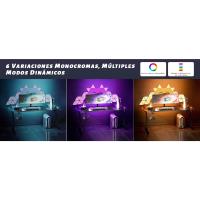6 VARIACIONES MONOCROMAS