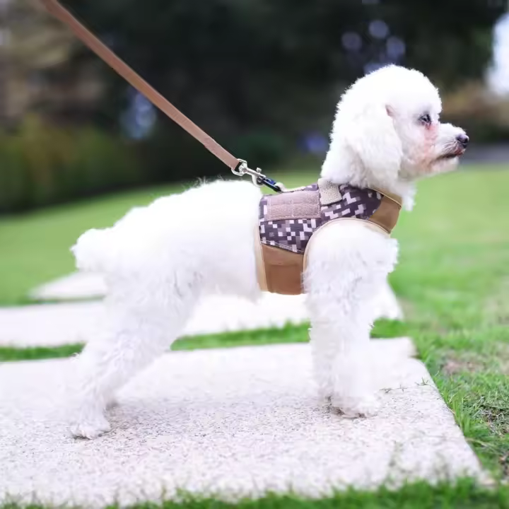 Conjunto de arnés y correa para perro pequeño, para mascotas, para verano - 1