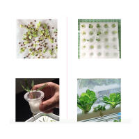 Kit de cultivo de Sistema hidropónico, tubería idroponico de PVC, sin tierra, 36 agujeros - details 11