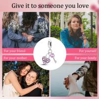 Llave de compañero perfecta de Plata de Ley 925 con colgante de cerradura, cuentas compatibles con pulsera Original Pandora, abalorios, regalo de joyería para mujer - details 5