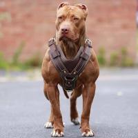 Chaleco de cuero genuino duradero con arnés para perros grandes, correa estable para pastor alemán, labrador, husky, entrenamiento para caminar - details 5